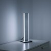 Paul-Neuhaus Q-ADRIANA Tafellamp LED Aluminium, 2-lichts, Afstandsbediening