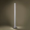 Paul-Neuhaus Q-ADRIANA Staande lamp LED Aluminium, 2-lichts, Afstandsbediening
