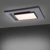 Paul-Neuhaus Q-ALTA Plafondlamp LED Zwart, 1-licht, Afstandsbediening
