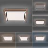 Paul-Neuhaus PALMA Plafondlamp LED Natuurlijke kleuren, Zwart, 2-lichts, Afstandsbediening