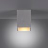 Paul-Neuhaus ETON Plafondlamp Grijs, Zwart, 1-licht