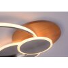 Paul-Neuhaus PALMA Plafondlamp LED Natuurlijke kleuren, Staal geborsteld, 1-licht, Afstandsbediening
