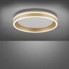Paul-Neuhaus Q-VITO Plafondlamp LED Messing, 1-licht, Afstandsbediening