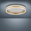 Paul-Neuhaus Q-VITO Plafondlamp LED Messing, 1-licht, Afstandsbediening