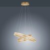 Paul-Neuhaus Q-VITO Hanglamp LED Messing, 2-lichts, Afstandsbediening