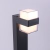 Paul-Neuhaus CARA Padverlichting LED Antraciet, 2-lichts