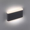 Paul-Neuhaus ELSA Buiten muurverlichting LED Antraciet, 2-lichts