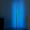 Leuchten-Direkt HENRY Staande lamp LED Staal geborsteld, 1-licht, Afstandsbediening