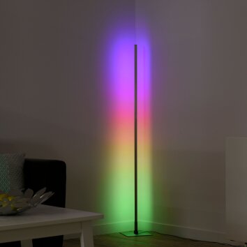 Leuchten-Direkt HENRY Staande lamp LED Staal geborsteld, 1-licht, Afstandsbediening