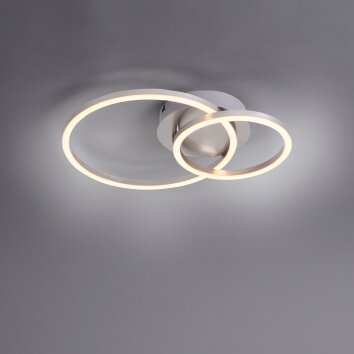 Leuchten-Direkt IVANKA Plafondlamp LED Staal geborsteld, 1-licht