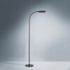 Leuchten-Direkt KELLY Staande lamp LED Zwart, 1-licht