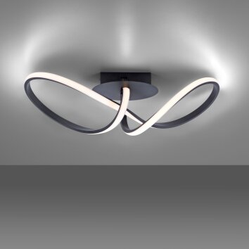 Leuchten-Direkt MARIA Plafondlamp LED Zwart, 1-licht