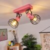 Builako Plafondlamp Roze, Zwart, 2-lichts