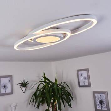 Sorte Plafondlamp LED Wit, 1-licht