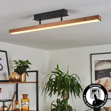 Maumela Plafondlamp LED Zwart, 1-licht