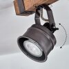 Pehefito Plafondlamp Zwart, 2-lichts