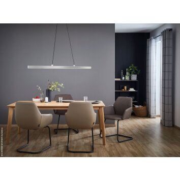 SCHÖNER-WOHNEN-Kollektion Stripe Hanglamp LED Aluminium, 1-licht