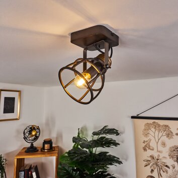 Russu Plafondlamp Grijs, 1-licht