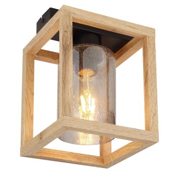 Globo PETTEY Plafondlamp Zwart, 1-licht