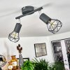 Baripada Plafondlamp Chroom, Grijs, 2-lichts