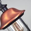 Gascon Buitenhanglamp Zwart, 1-licht