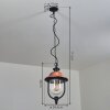Gascon Buitenhanglamp Zwart, 1-licht