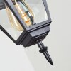 Naofe Buitenhanglamp Zwart, 1-licht