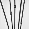 Alsen Staande lamp Zwart, 5-lichts