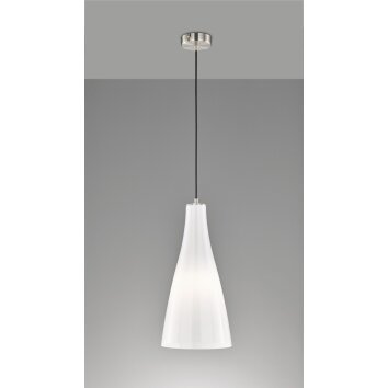 Fischer-Honsel Zeal Hanglamp Nikkel mat, 1-licht