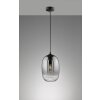 Fischer-Honsel Trace Hanglamp Zwart, 1-licht