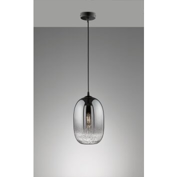 Fischer-Honsel Trace Hanglamp Zwart, 1-licht