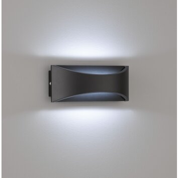 Fischer-Honsel Rio Buiten muurverlichting LED Zwart, 1-licht