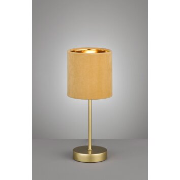 Fischer-Honsel Aura Tafellamp Goud, 1-licht