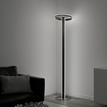 Paul-Neuhaus Q-VITO Staande lamp LED Antraciet, 3-lichts, Afstandsbediening
