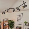 Javel Plafondlamp Bruin, Grijs, houtlook, Zwart, 6-lichts