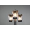 Trio-Leuchten Cavado Padverlichting Antraciet, 3-lichts