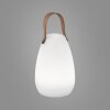 FHL-easy Ruby Tafellamp voor buiten LED Wit, 1-licht, Afstandsbediening, Kleurwisselaar
