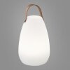 FHL-easy Ruby Tafellamp voor buiten LED Wit, 1-licht, Afstandsbediening, Kleurwisselaar