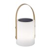 FHL-easy Bari Tafellamp voor buiten LED Wit, 1-licht, Afstandsbediening, Kleurwisselaar