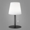 FHL-easy Garden Tafellamp voor buiten LED Antraciet, 1-licht, Kleurwisselaar