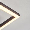 Hyacinthe Plafondlamp LED Chroom, Zwart, 1-licht
