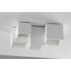 Luce-Design Foster Plafondlamp kan worden geverfd met in de handel verkrijgbare verven, Wit, 5-lichts