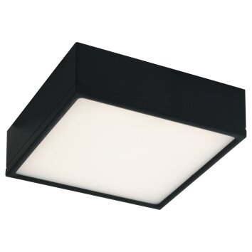 Luce-Design Klio Plafondlamp LED Zwart, 1-licht