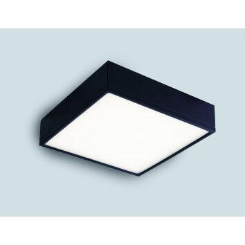 Luce-Design Klio Plafondlamp LED Zwart, 1-licht