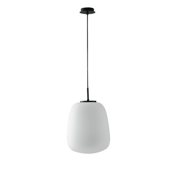 Luce-Design Tolomeo Hanglamp Zwart, 1-licht