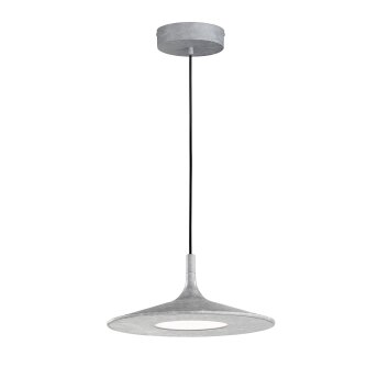 SCHÖNER-WOHNEN-Kollektion Slim Hanglamp LED Grijs, 1-licht