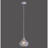 Paul Neuhaus SCARLETT Hanglamp Rookkleurig, 1-licht