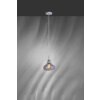 Paul Neuhaus SCARLETT Hanglamp Rookkleurig, 1-licht