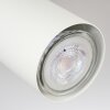 Zuoz Plafondlamp Chroom, Wit, 4-lichts