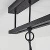 Larobe Hanger Zwart, 1-licht